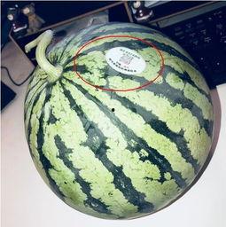 安徽网红吃瓜,揭秘网络热点的背后真相