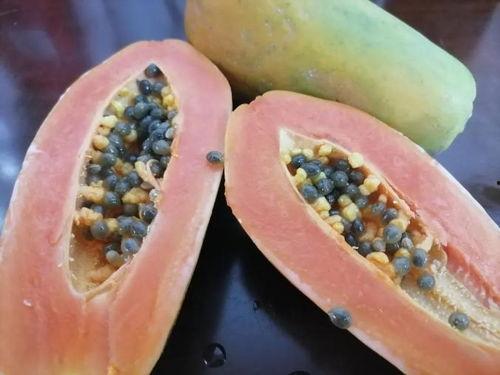 吃瓜爆料附视频,视频揭秘惊人内幕，真相令人震惊！